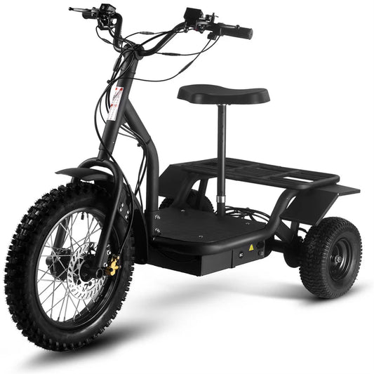 Electric Trike